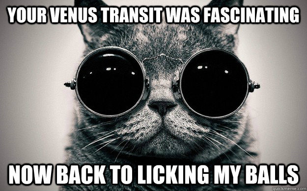 your venus transit was fascinating now back to licking my balls  Morpheus Cat Facts