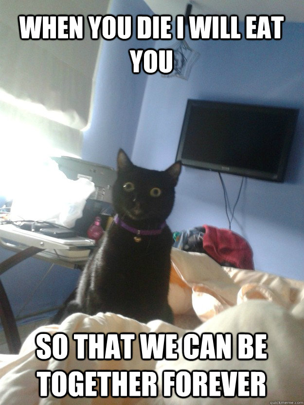 When you die I will eat you So that we can be together forever  overly attached cat