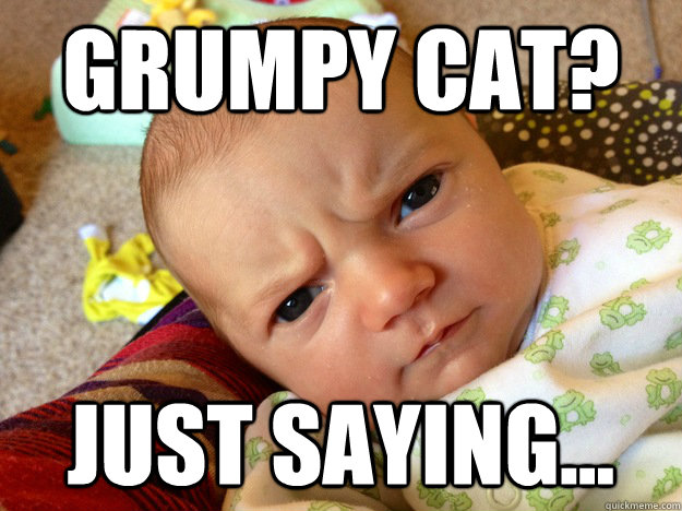 Grumpy Cat? Just saying... - Grumpy Cat? Just saying...  Misc