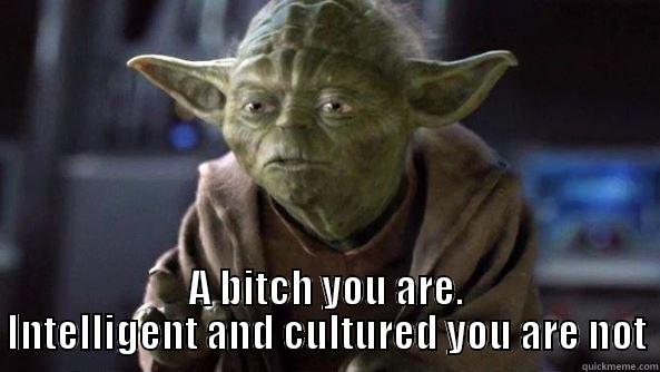 A bitch you are  -  A BITCH YOU ARE. INTELLIGENT AND CULTURED YOU ARE NOT True dat, Yoda.