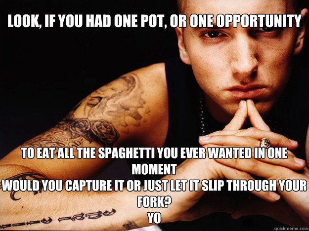 Look, if you had one pot, or one opportunity

 To eat all the spaghetti you ever wanted in one moment
Would you capture it or just let it slip through your fork?
Yo  Eminem