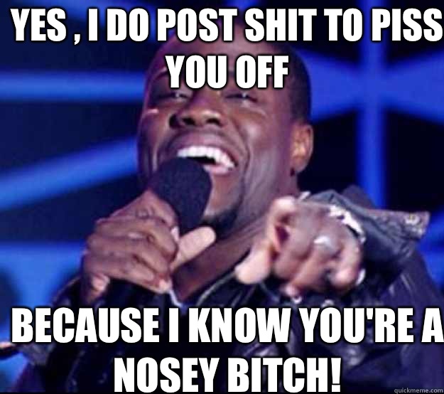 Yes , I do post shit to piss you off  Because I know you're a nosey bitch!  - Yes , I do post shit to piss you off  Because I know you're a nosey bitch!   Kevin Hart