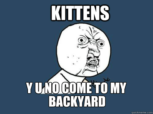 Kittens y u no come to my 
        backyard?  Y U No