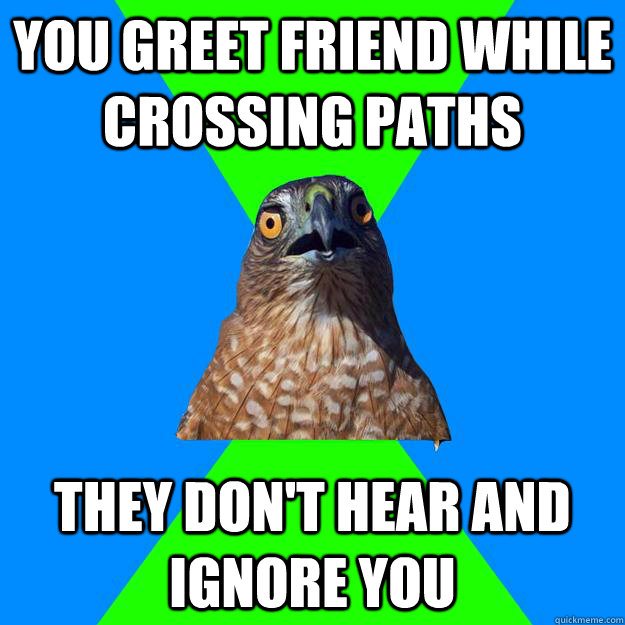 You greet friend while crossing paths they don't hear and ignore you - You greet friend while crossing paths they don't hear and ignore you  Hawkward