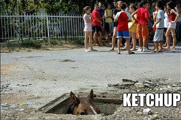 Ketchup  