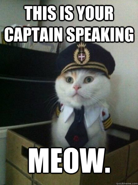 THIS IS YOUR CAPTAIN SPEAKING MEOW.  