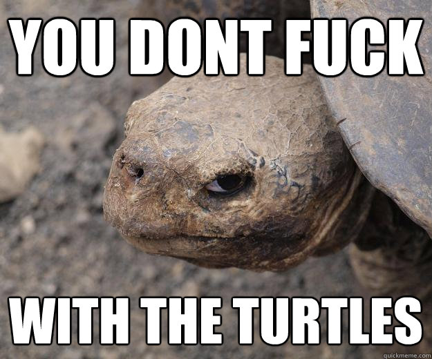 YOU DONT FUCK WITH THE TURTLES  