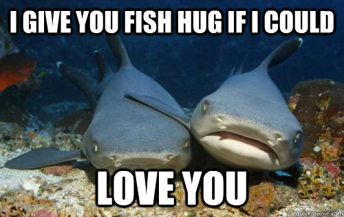 I Give you fish hug if I could  Love you  Compassionate Shark Friend