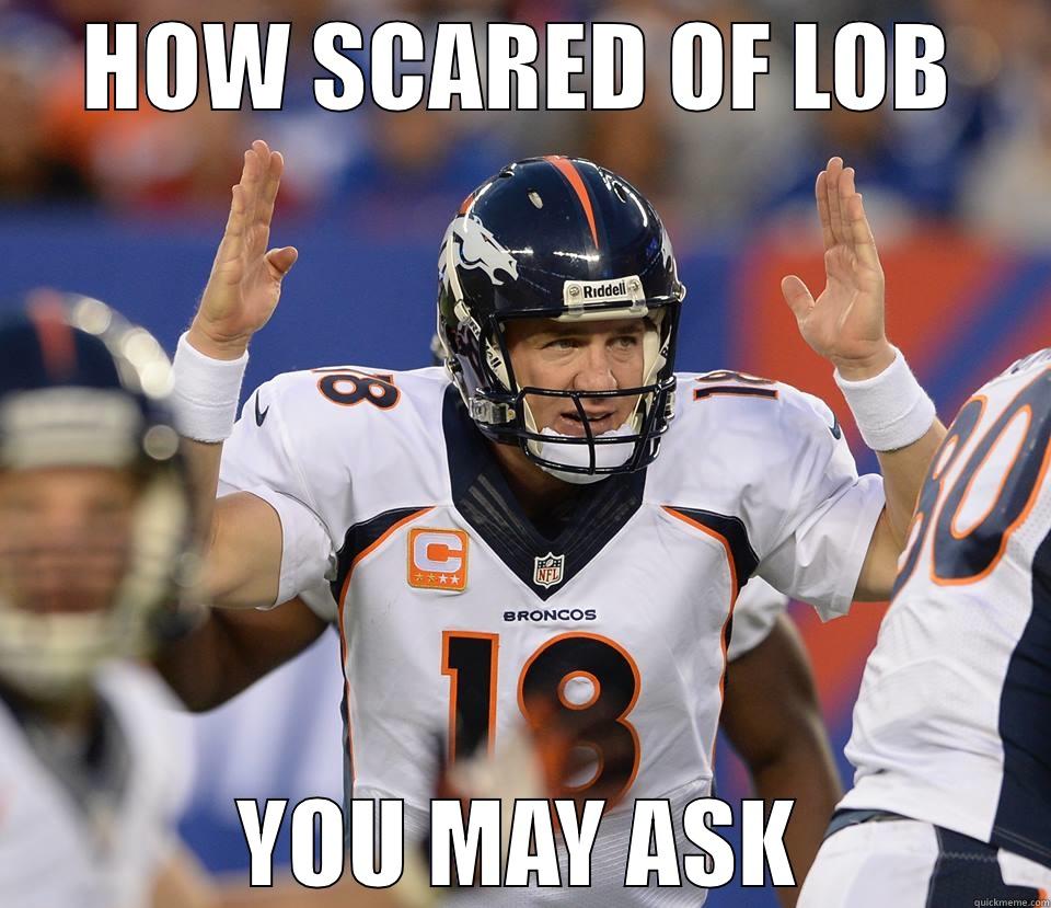 HOW SCARED OF LOB YOU MAY ASK Misc