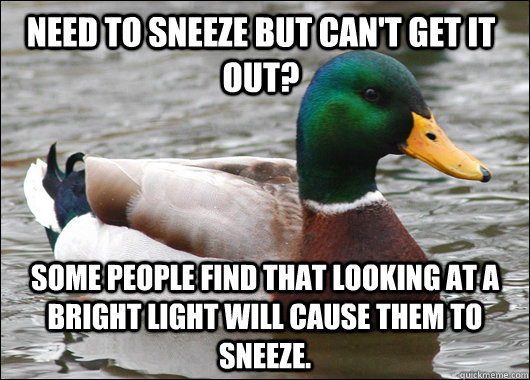 Need to sneeze but can't get it out? Some people find that looking at a bright light will cause them to sneeze.  Actual Advice Mallard