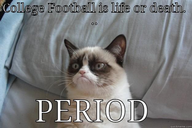 Life or death - COLLEGE FOOTBALL IS LIFE OR DEATH. .. PERIOD Grumpy Cat