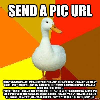 send a pic url http://www.google.fr/imgres?um=1&hl=fr&safe=off&sa=N&biw=1280&bih=660&tbm=isch&tbnid=iMFLThiVJEL-WM:&imgrefurl=http://www.quickmeme.com/Tech-Impaired-Ducks-Facebook-Profile-Picture/&docid=rFAs5QHk4XxhLM&imgurl=http://t.qkme.me/366ksg.jpg&w=  Tech Impaired Duck