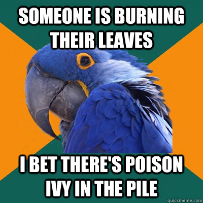 someone is burning their leaves i bet there's poison ivy in the pile  Paranoid Parrot