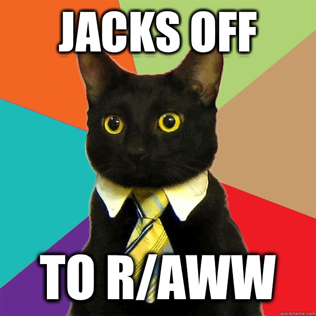Jacks off To r/aww  Business Cat