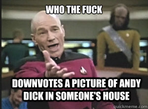 WHO THE FUCK DOWNVOTES A PICTURE OF ANDY DICK IN SOMEONE'S HOUSE  Annoyed Picard