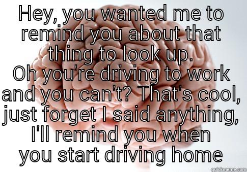 HEY, YOU WANTED ME TO REMIND YOU ABOUT THAT THING TO LOOK UP. OH YOU'RE DRIVING TO WORK AND YOU CAN'T? THAT'S COOL, JUST FORGET I SAID ANYTHING, I'LL REMIND YOU WHEN YOU START DRIVING HOME Scumbag Brain