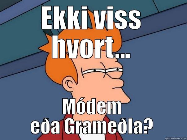 futurama fry icelandic - EKKI VISS HVORT... MÓDEM EÐA GRAMEÐLA? Futurama Fry
