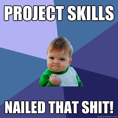 Project Skills Nailed that shit!  Success Kid