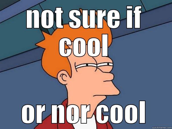 NOT SURE IF COOL OR NOR COOL Futurama Fry
