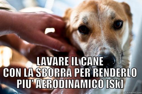  LAVARE IL CANE CON LA SBORRA PER RENDERLO PIU' AERODINAMICO [SK] Misc