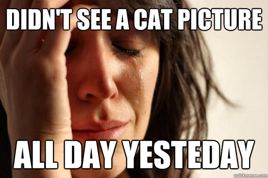 didn't see a cat picture All day yesteday  First World Problems
