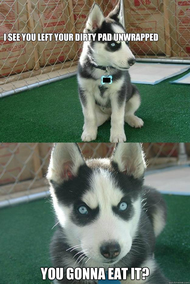 I see you left your dirty pad unwrapped You gonna eat it?  Insanity puppy