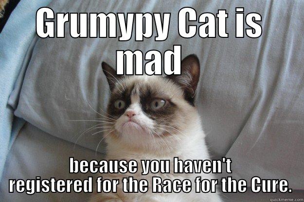 Mad Grumpy Cat - GRUMYPY CAT IS MAD BECAUSE YOU HAVEN'T REGISTERED FOR THE RACE FOR THE CURE. Grumpy Cat
