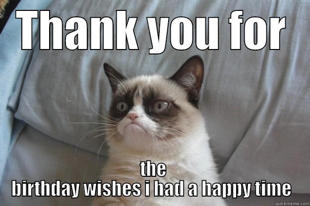 THANK YOU FOR THE BIRTHDAY WISHES I HAD A HAPPY TIME  Grumpy Cat