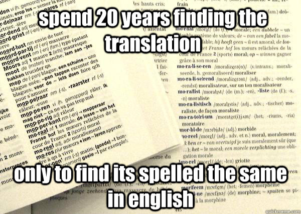 spend 20 years finding the translation only to find its spelled the same in english - spend 20 years finding the translation only to find its spelled the same in english  fucking french