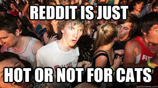 Reddit is just Hot or not for cats  Sudden Clarity Clarence