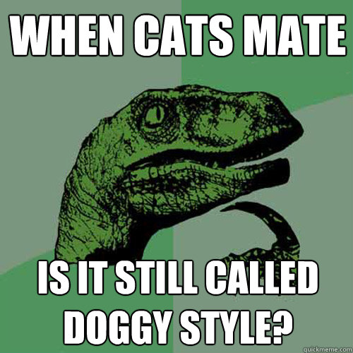 When cats mate is it still called doggy style?  Philosoraptor