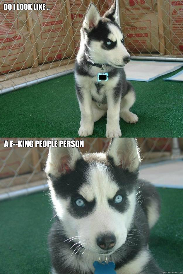 Do I look like .. a f--king people person  Insanity puppy