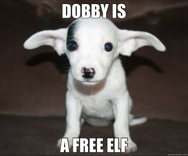 DOBBY IS A FREE ELF  