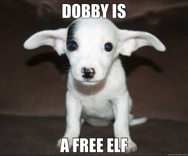 DOBBY IS A FREE ELF  Dobby