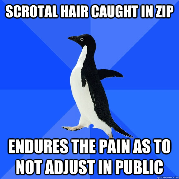 scrotal hair caught in zip endures the pain as to not adjust in public  Socially Awkward Penguin