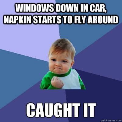 Windows down in car, napkin starts to fly around caught it  Success Kid