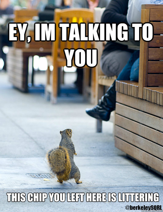 EY, IM TALKING TO YOU THIS CHIP YOU LEFT HERE IS LITTERING  