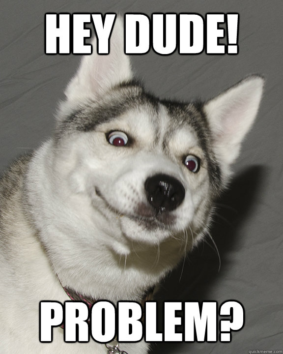 Hey Dude! Problem? - Hey Dude! Problem?  Friendly Crazy Dog