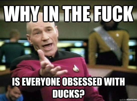 Why in the fuck Is everyone obsessed with ducks?  Annoyed Picard HD
