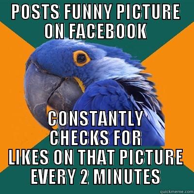 POSTS FUNNY PICTURE ON FACEBOOK CONSTANTLY CHECKS FOR LIKES ON THAT PICTURE EVERY 2 MINUTES Paranoid Parrot