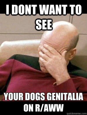 I dont want to see Your dogs genitalia on r/AWW  