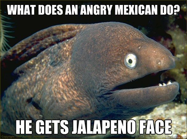 What does an angry mexican do? He gets Jalapeno face  Bad Joke Eel