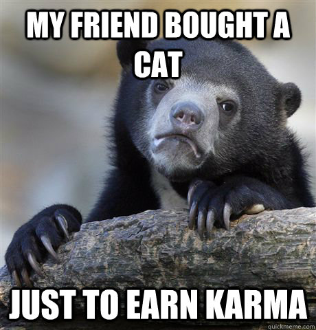 my friend bought a cat just to earn karma  Confession Bear