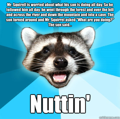 Mr. Squirell is worried about what his son is doing all day. So he followed him all day, he went through the forest and over the hill and across the river and down the mountain and into a cave. The son turned around and Mr. Squirrel asked 