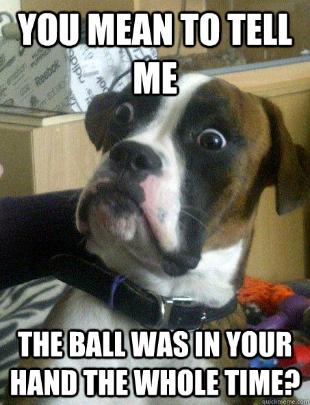 You Mean to tell me the ball was in your hand the whole time?  Shocked Dog