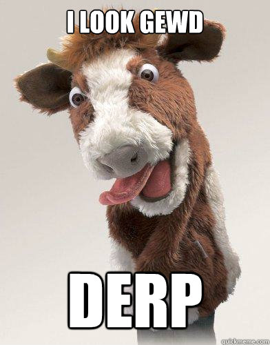 I look gewd derp  Derp Cow
