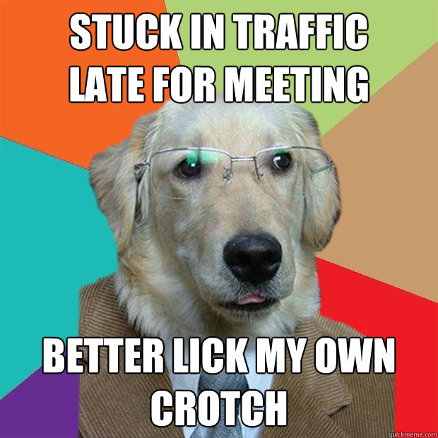 stuck in traffic 
late for meeting better lick my own crotch - stuck in traffic 
late for meeting better lick my own crotch  Business Dog