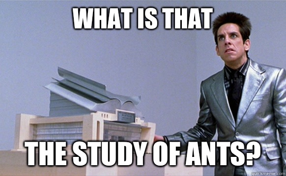 What is that The study of ants?  Planetside Zoolander