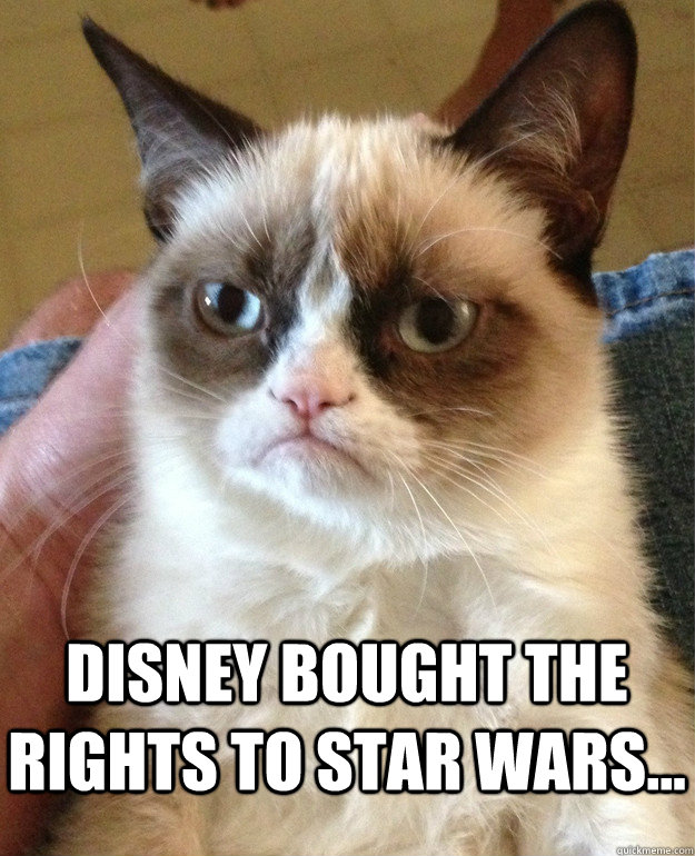  Disney bought the rights to Star Wars...  Grumpy Cat