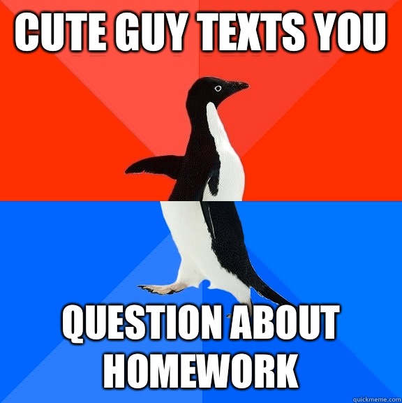 Cute guy texts you Question about homework  Socially Awesome Awkward Penguin